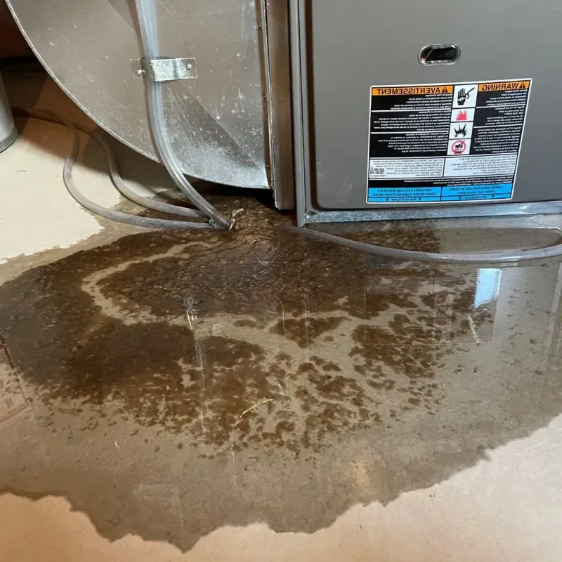 Pipe Burst and Leak Restoration in Deschutes County, OR