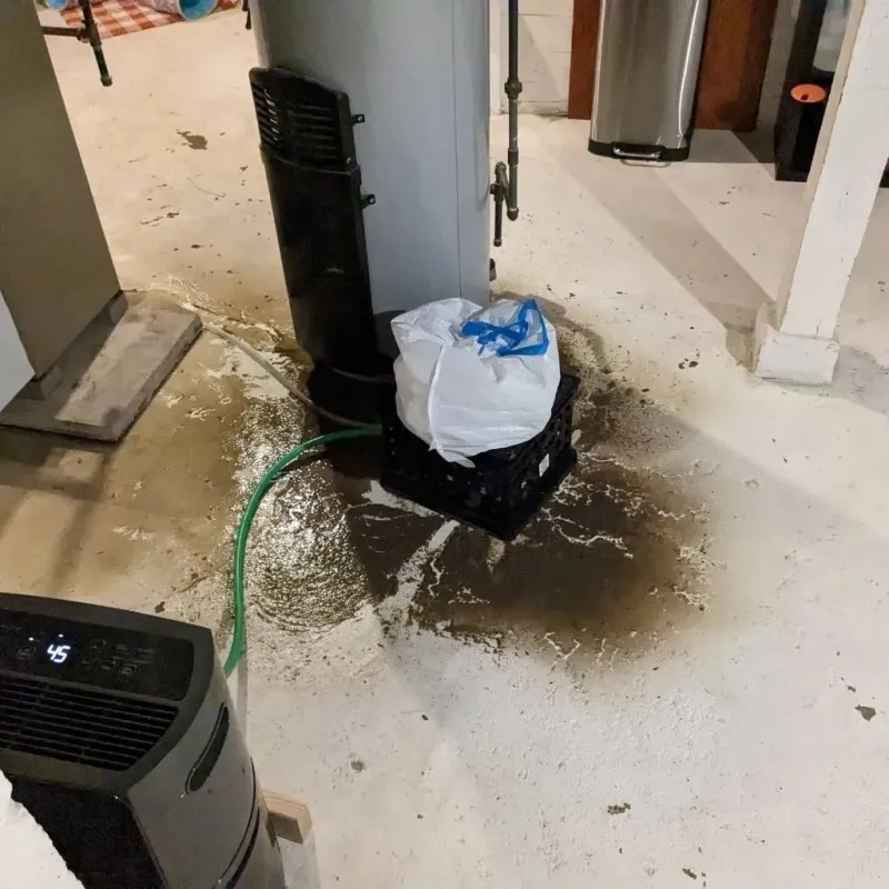 Sewage Backup Cleanup Service in Deschutes County, OR